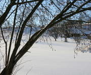 Winterlandschaft